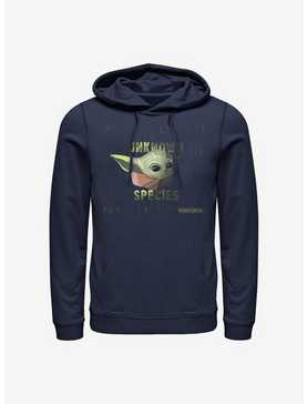 Star Wars The Mandalorian Unknown Species The Child Hoodie, , hi-res