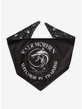 The Witcher Kaer Morhen Witcher in Training Reversible Pet Bandana - BoxLunch Exclusive, MULTI, hi-res