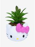 Sanrio Hello Kitty Faux Succulent Planter, , hi-res