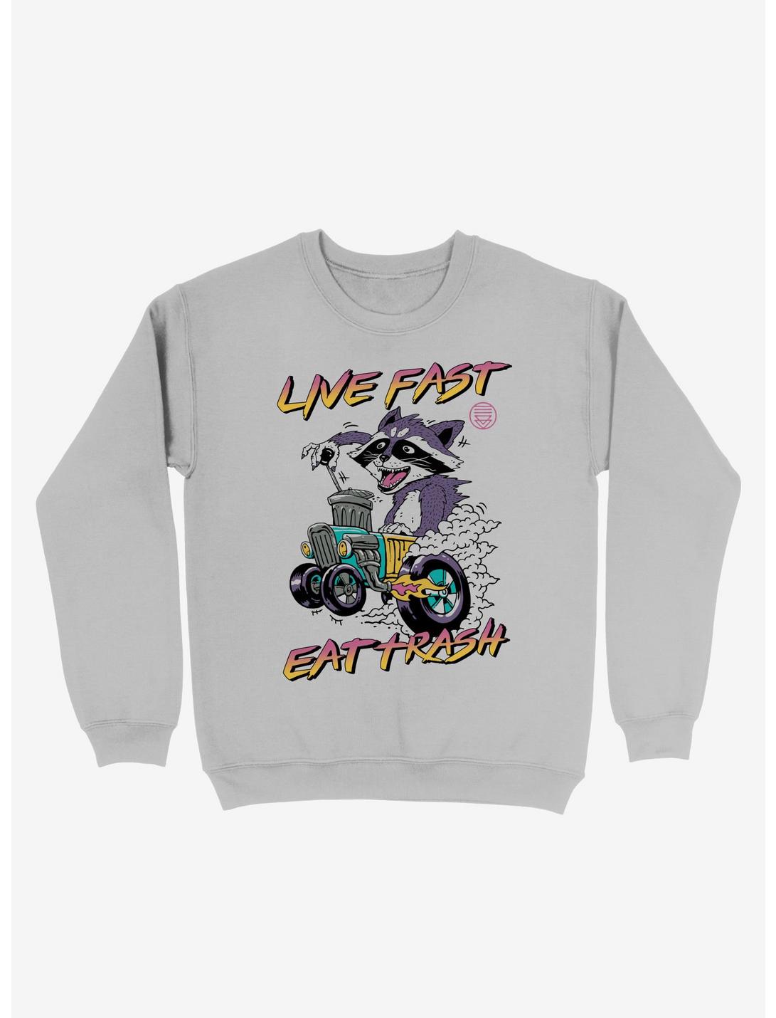 Live Fast, Eat Trash! Raccoon Sweatshirt, SPORT GRAY, hi-res