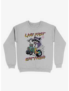 Live Fast, Eat Trash! Raccoon Sweatshirt, , hi-res