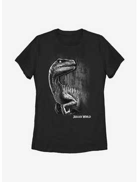 Jurassic World Raptor Smile Womens T-Shirt, , hi-res
