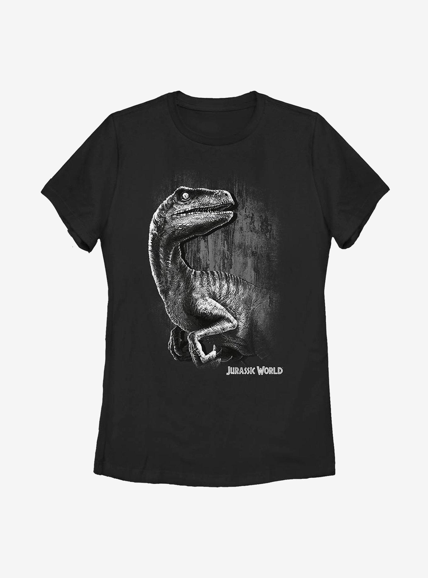 Jurassic World Raptor Smile Womens T-Shirt, , hi-res