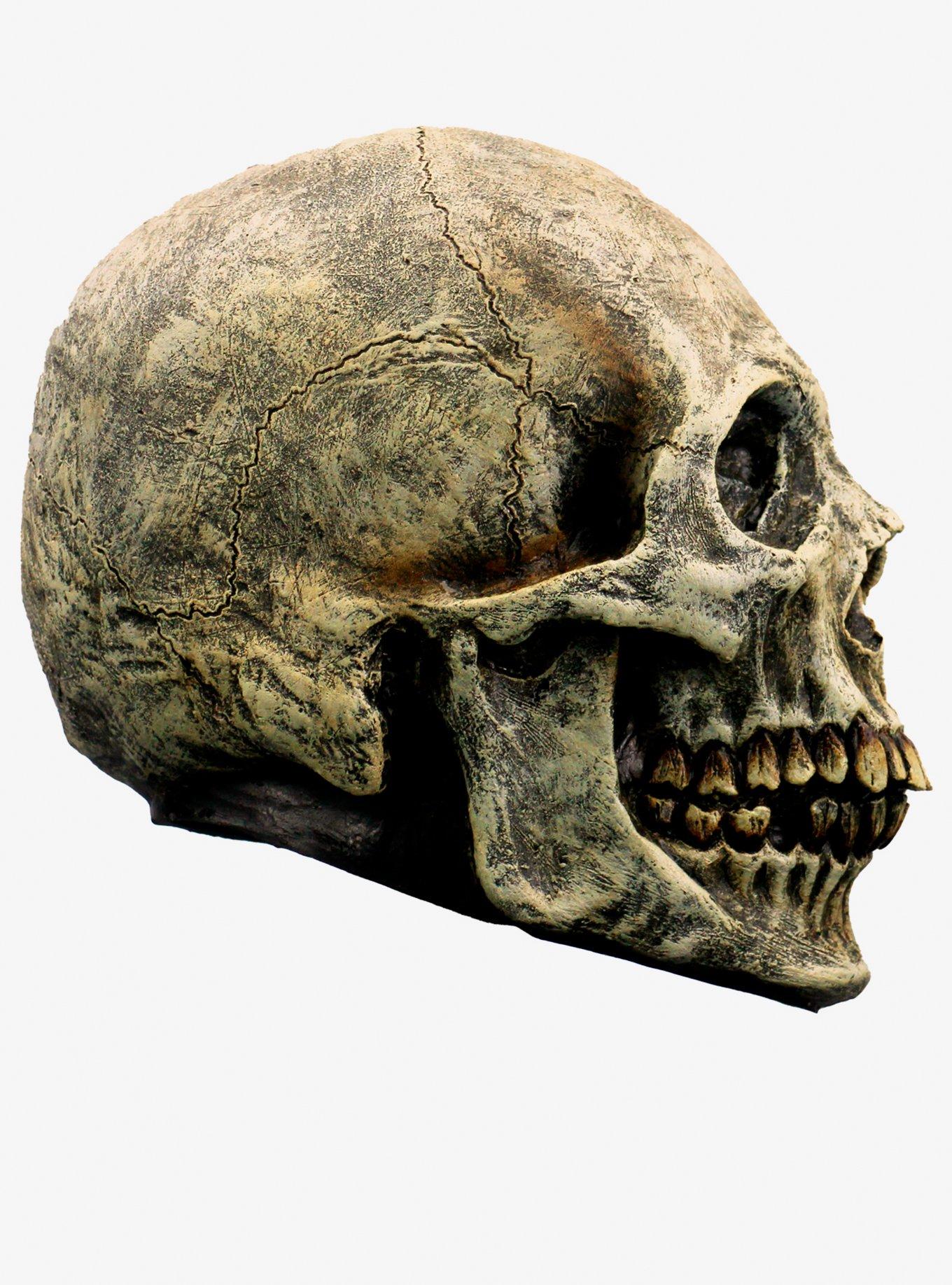 Skull Decor, , hi-res