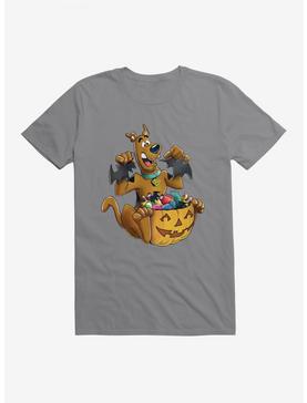 Scooby-Doo C&y & Bats T-Shirt, STORM GREY, hi-res