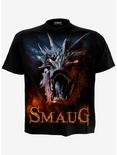 The Lord Of The Rings Smaug T-Shirt, BLACK, hi-res