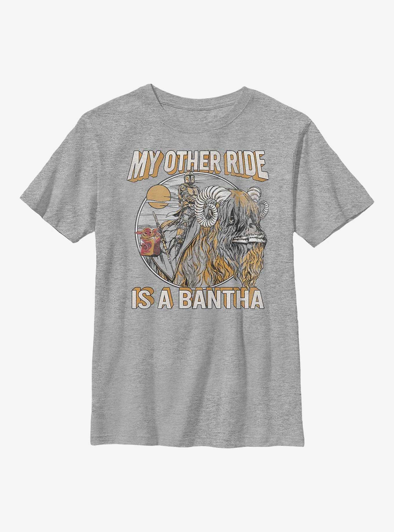 Star Wars The Mandalorian Other Ride Youth T-Shirt, , hi-res