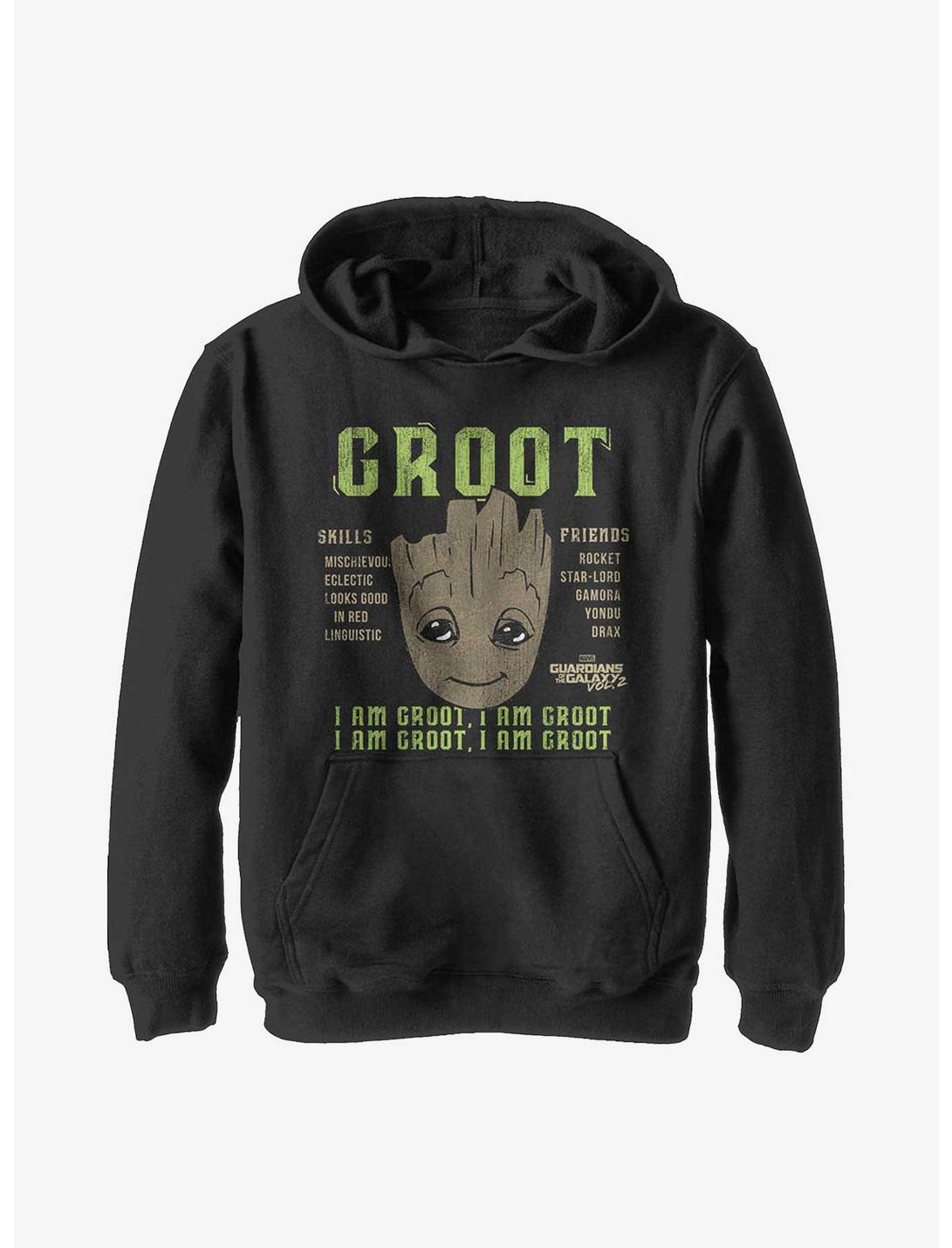 Marvel Guardians Of The Galaxy Groot Info Youth Hoodie, BLACK, hi-res