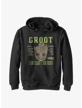 Marvel Guardians Of The Galaxy Groot Info Youth Hoodie, , hi-res