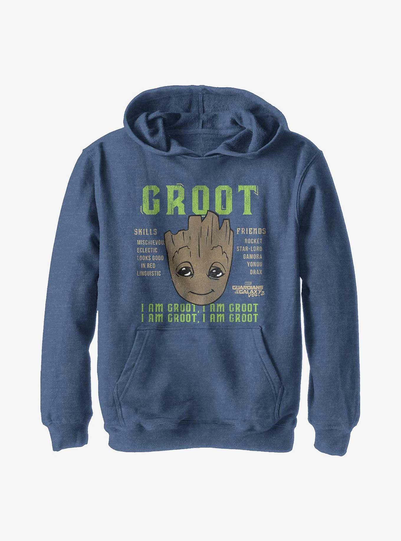 Marvel Guardians Of The Galaxy Groot Info Youth Hoodie, , hi-res