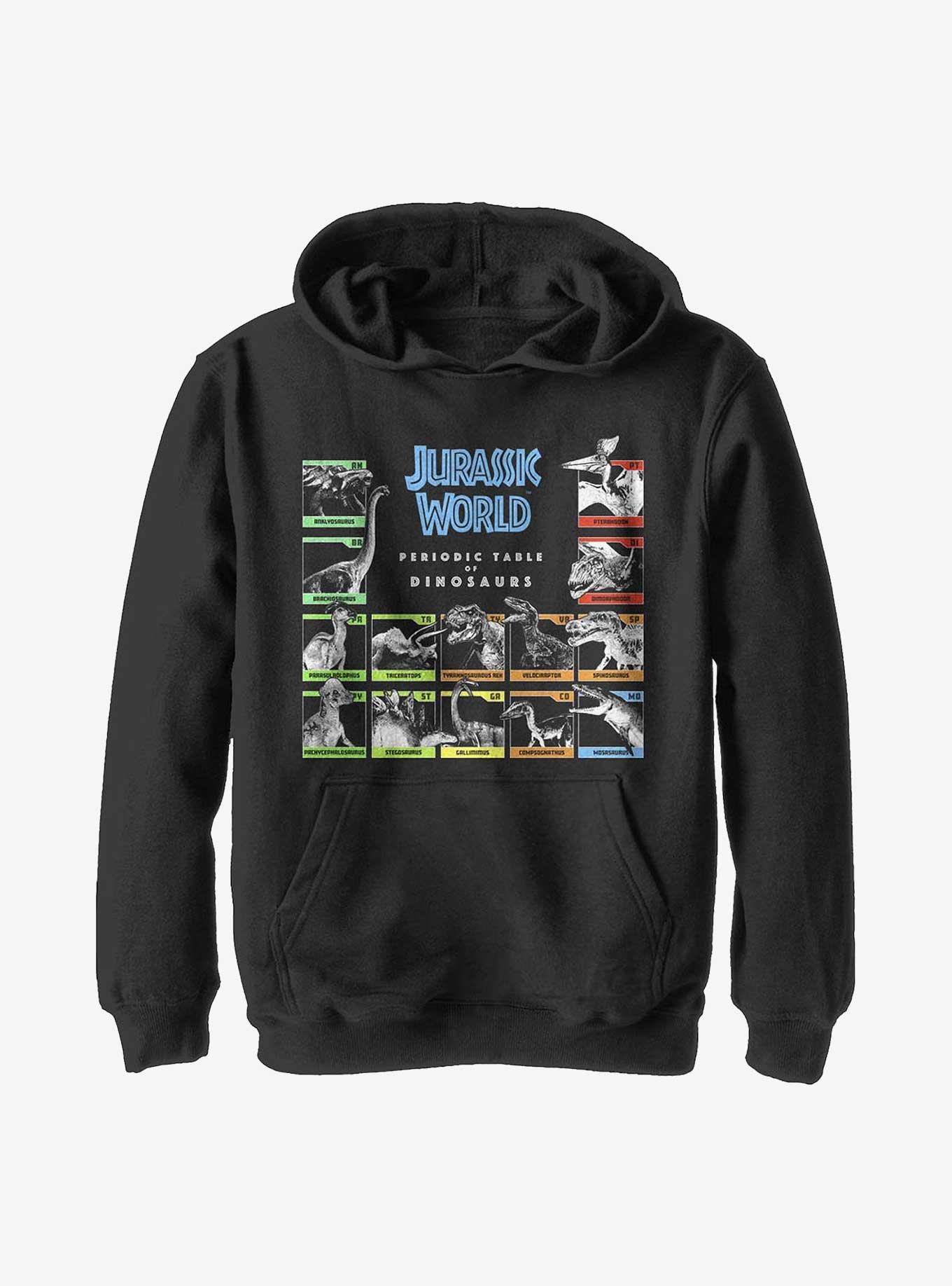 Jurassic World Periodic Table Dinos Youth Hoodie, , hi-res