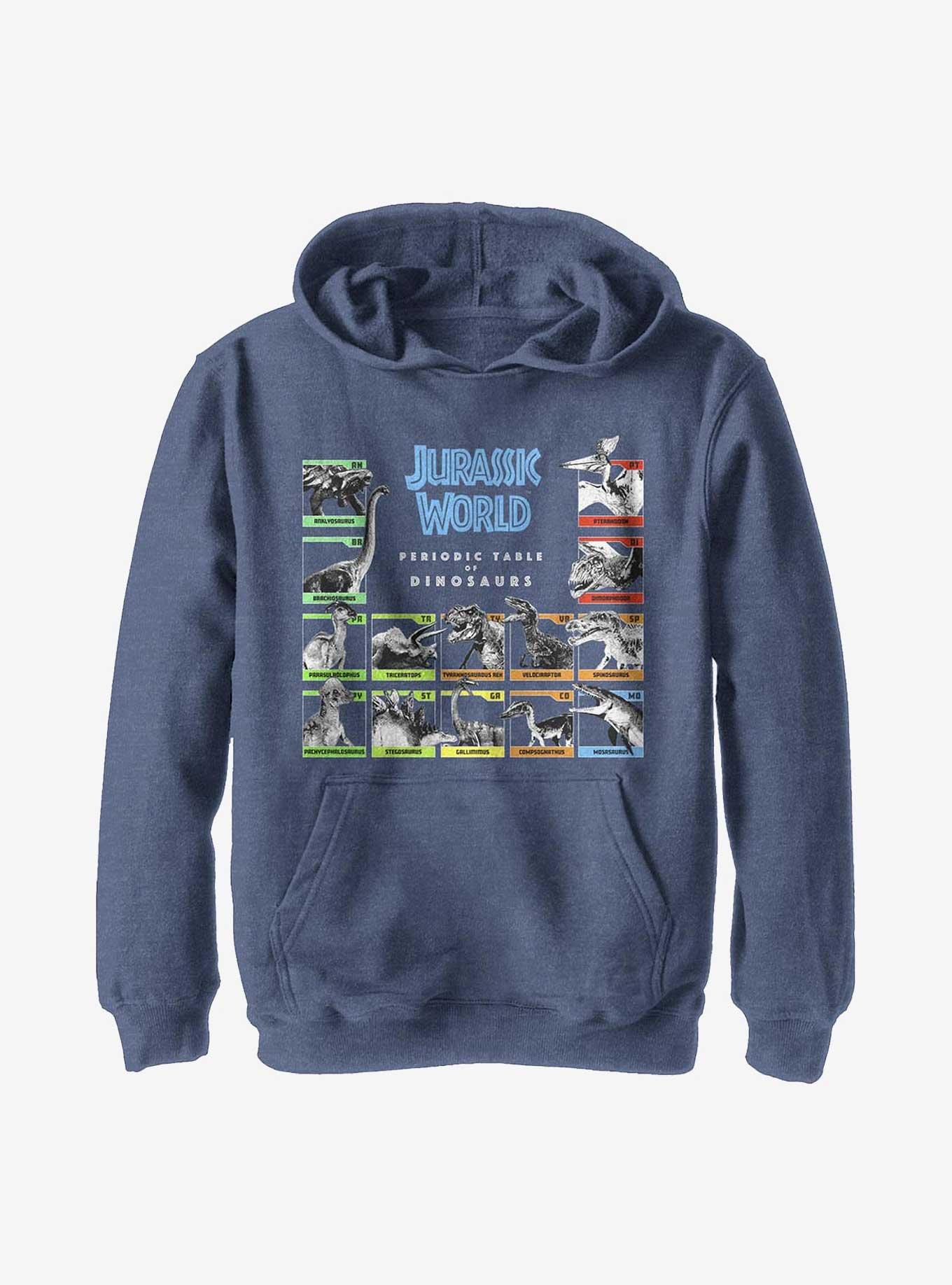 Jurassic World Periodic Table Dinos Youth Hoodie, , hi-res