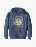 Star Wars The Mandalorian Little One Youth Hoodie, NAVY HTR, hi-res