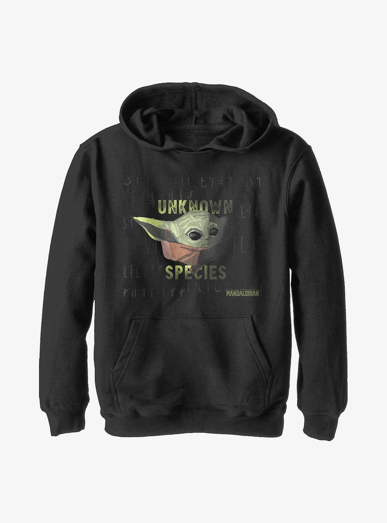 Star Wars The Mandalorian Unknown Species Youth Hoodie, BLACK, hi-res
