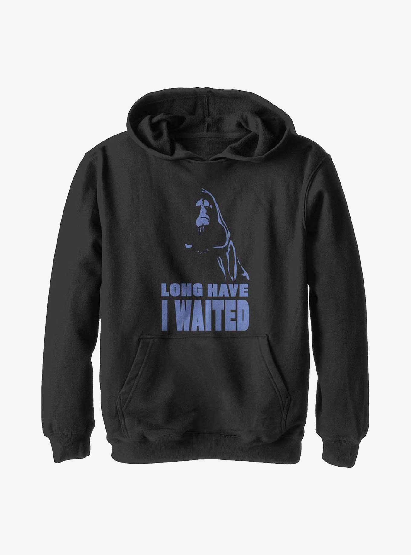 Star Wars Episode IX: The Rise Of Skywalker Long Wait Youth Hoodie, , hi-res