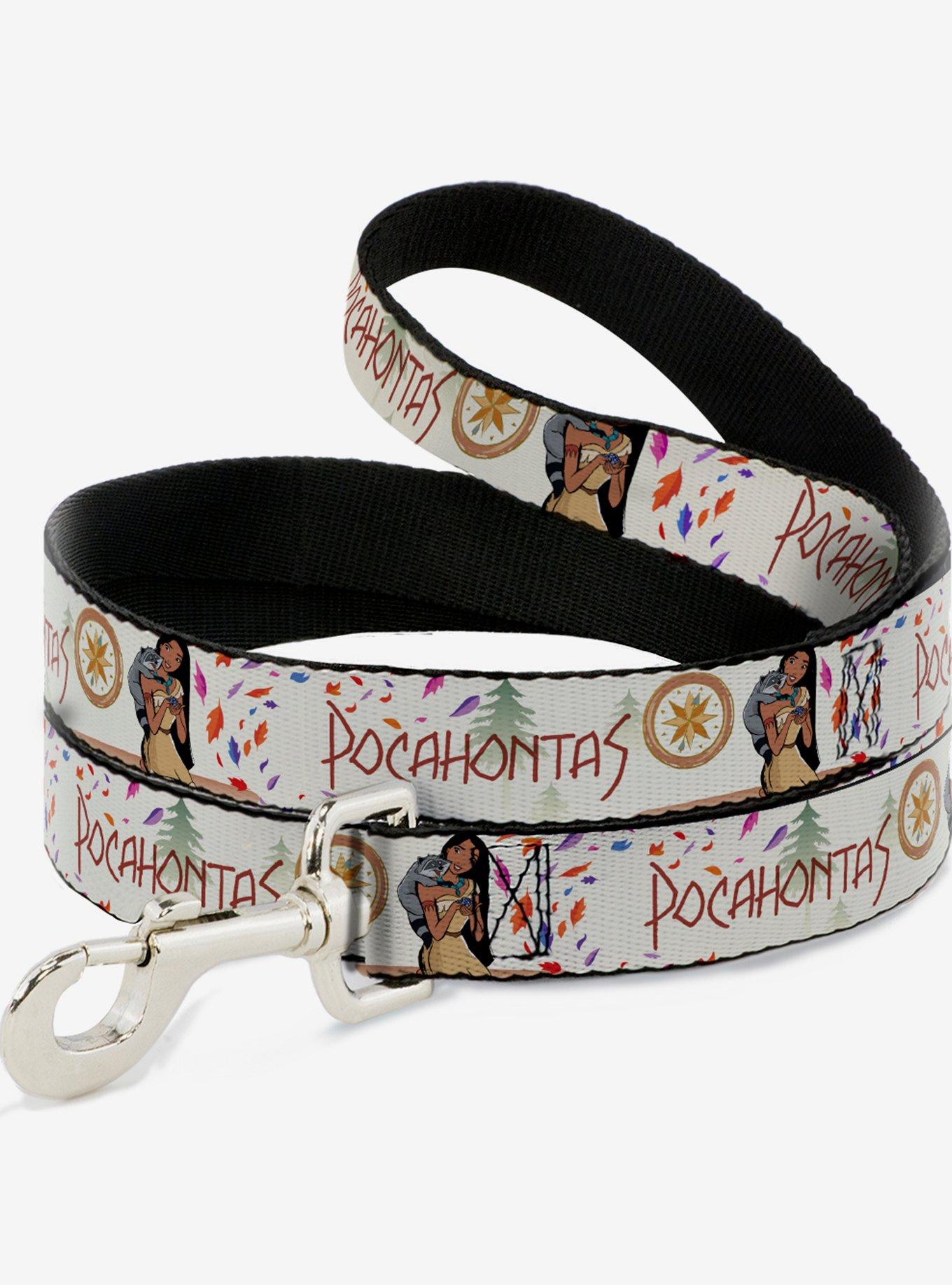 Disney Pocahontas Pocahontas And Meeko Compass Dog Leash, , hi-res