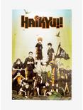 Haikyu!! Karasuno Crows Poster, , hi-res