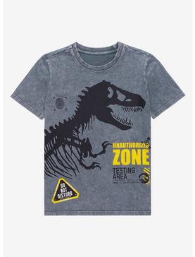 Plus Size Jurassic Park Do Not Disturb Youth T-Shirt - BoxLunch Exclusive, , hi-res