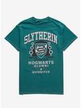 Harry Potter Slytherin Hogwarts Alumni T-Shirt - BoxLunch Exclusive, FOREST GREEN, hi-res