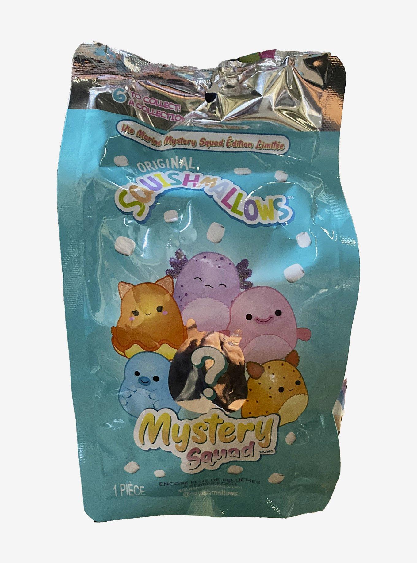  Squishmallow Mystery Squad Blind Bag with 5 Figure - Bundle  with Squishmallow Mystery Bag with Plushie Plus Stickers, More