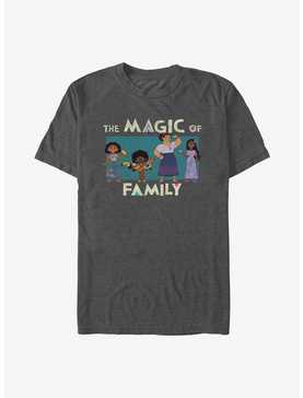 Disney Encanto Family T-Shirt, CHAR HTR, hi-res