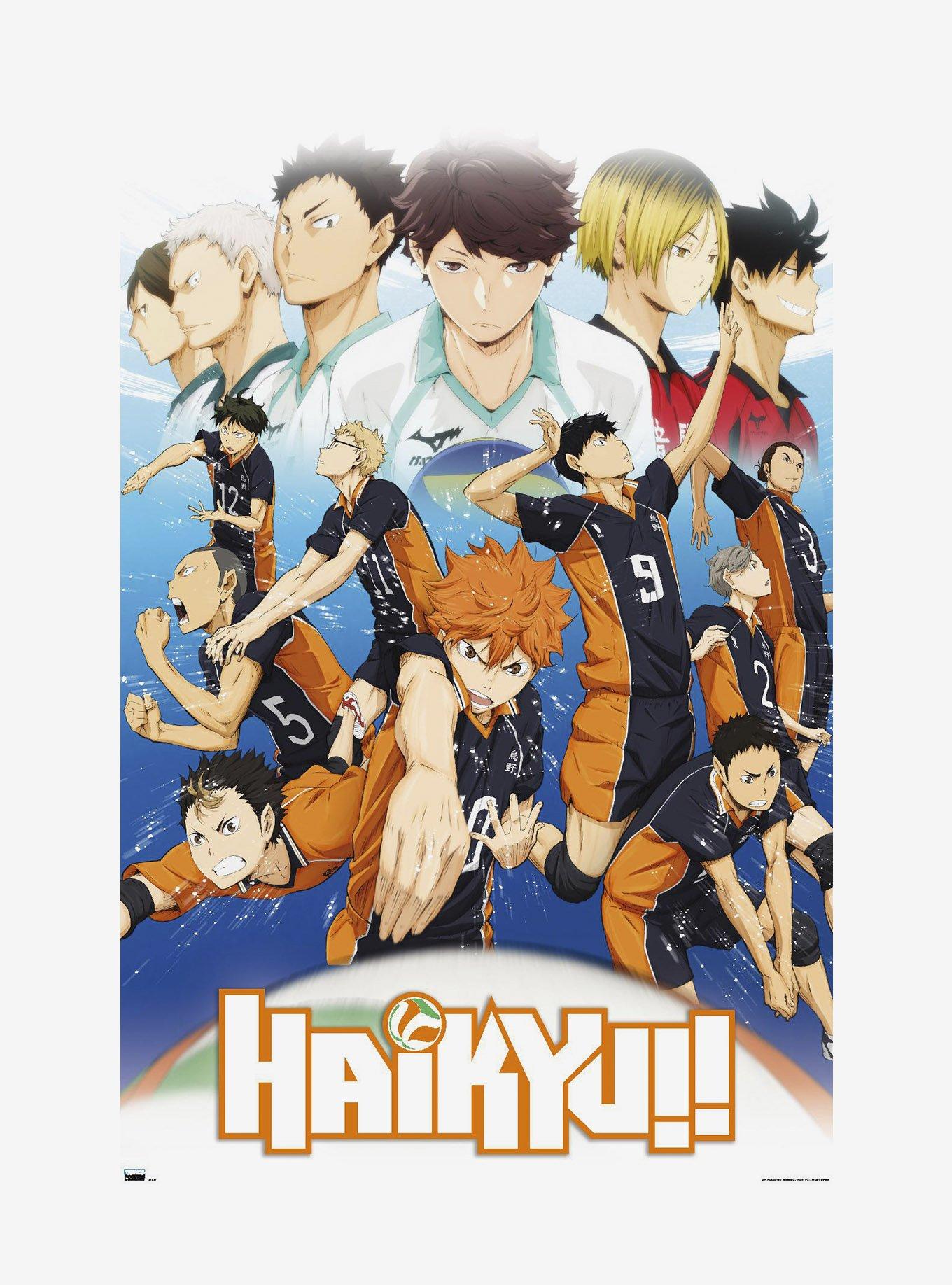 Haikyu!! Key Art Poster, , hi-res
