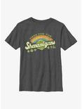 Dungeons And Dragons Here For Shenanigans Youth T-Shirt, CHAR HTR, hi-res