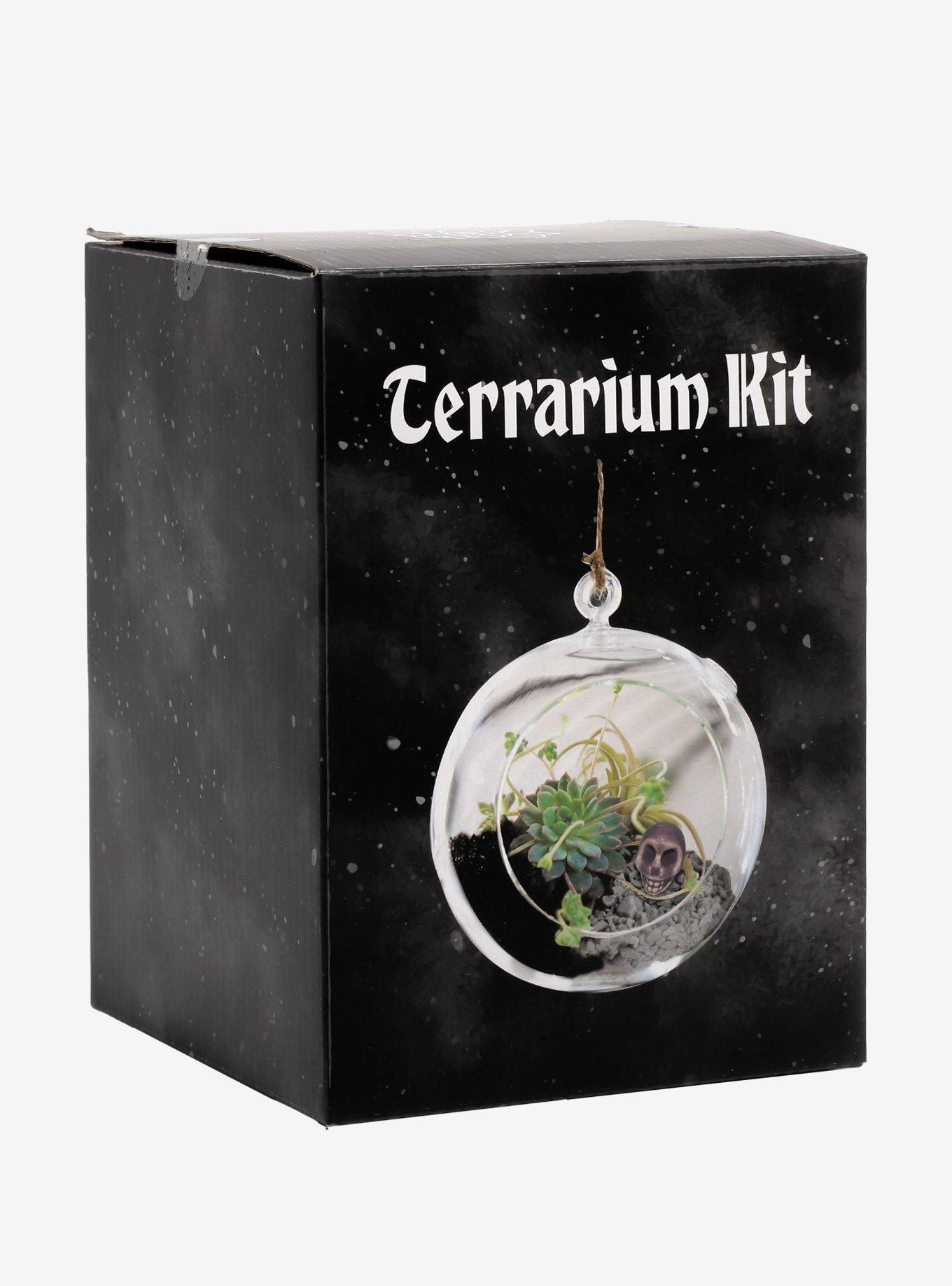 Skull Terrarium Kit, , hi-res