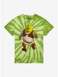 Shrek Green Tie-Dye T-Shirt, MULTI, hi-res