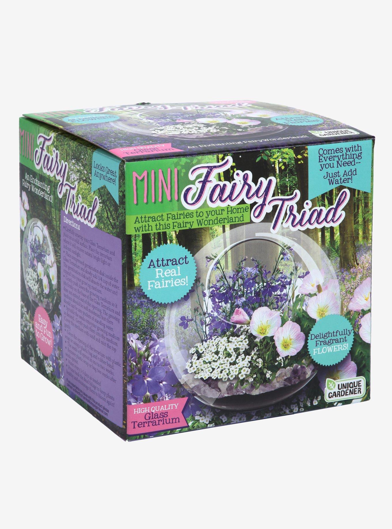 Mini Fairy Triad Terrarium, , hi-res