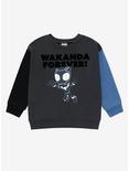 Marvel Black Panther Wakanda Forever Color Block Crew Neck - BoxLunch Exclusive, BLACK, hi-res