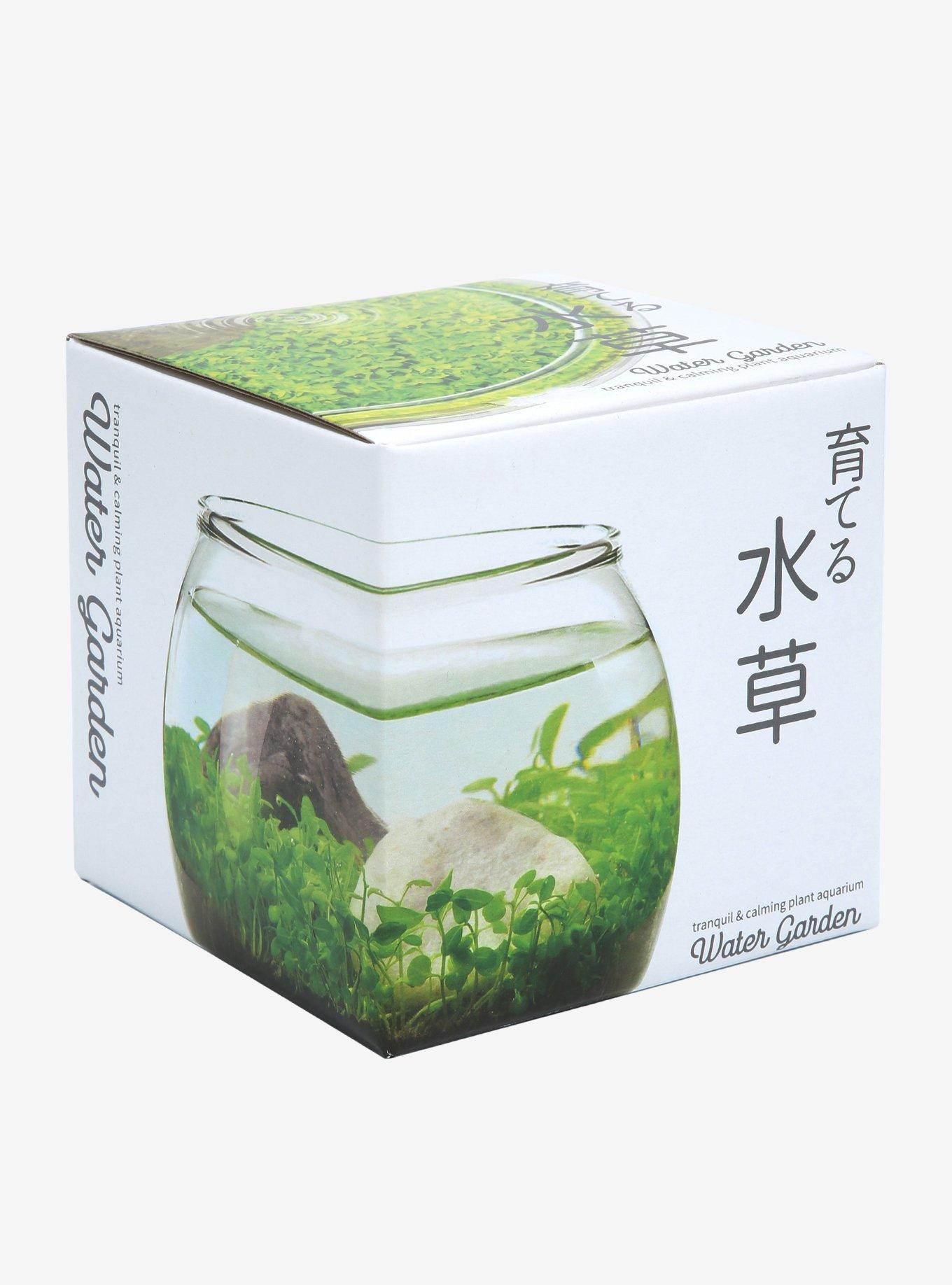 Water Garden Mini Plant Aquarium, , hi-res