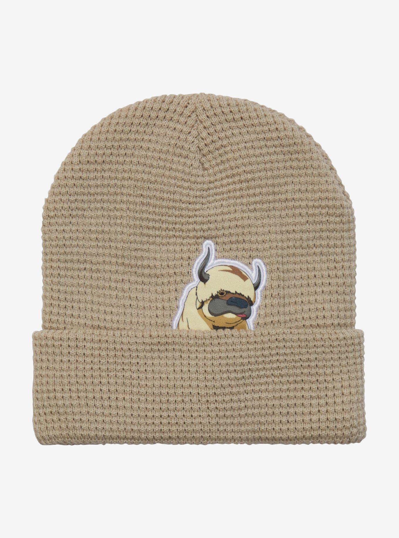 Avatar: The Last Airbender Appa Waffle Knit Cuff Beanie - BoxLunch Exclusive, , hi-res