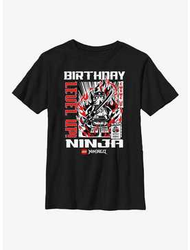 LEGO Ninjago Birthday Ninja Youth T-Shirt, , hi-res