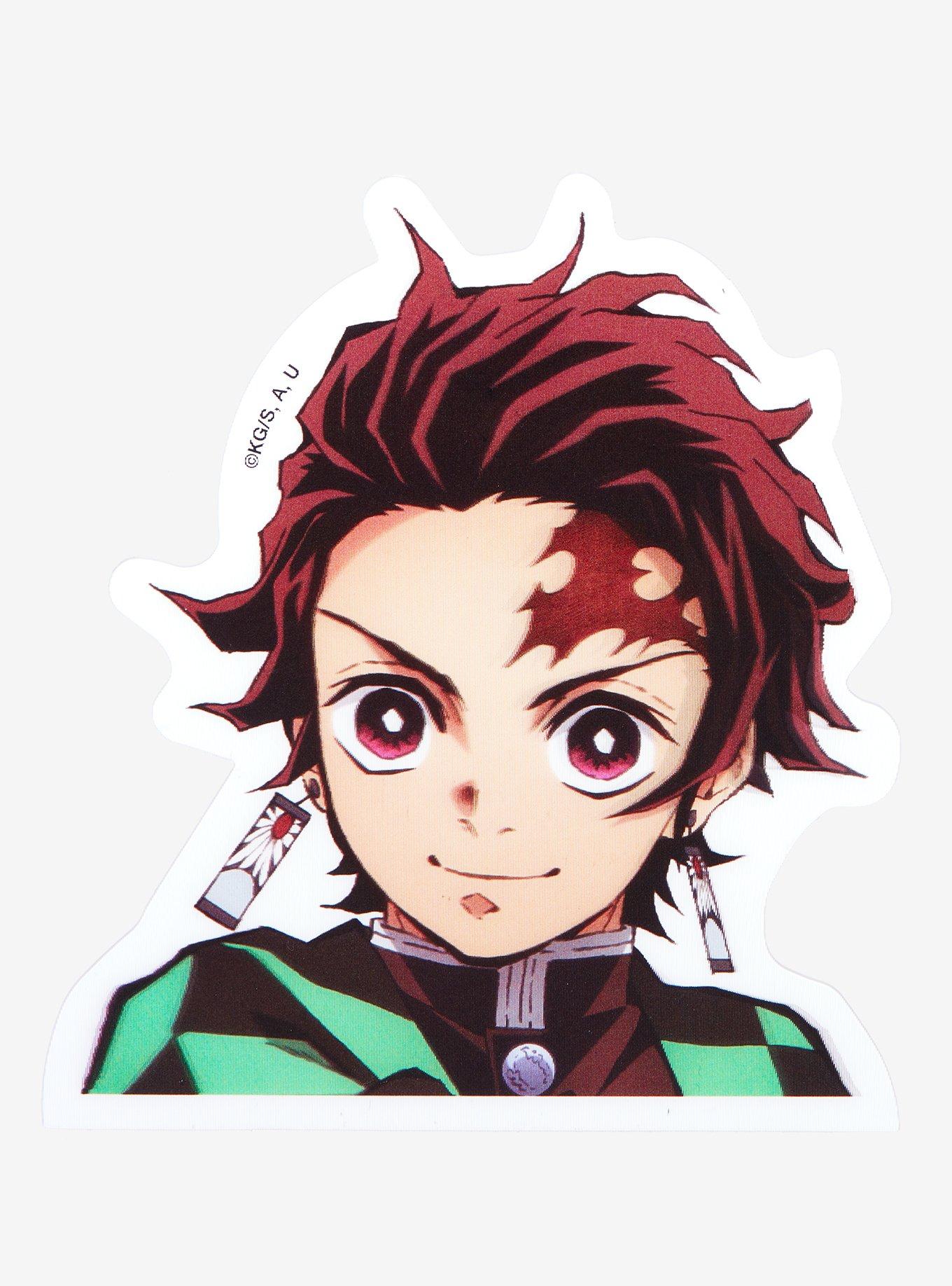 Demon Slayer: Kimetsu No Yaiba Tanjiro Lenticular Car Decal, , hi-res