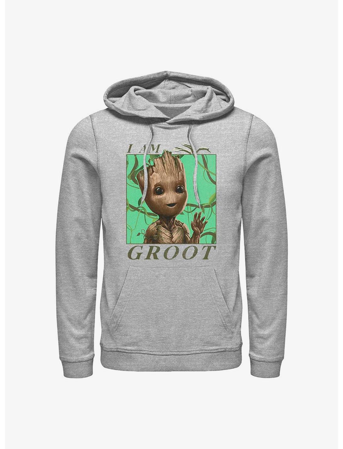 Marvel Guardians of the Galaxy Jungle Vibes Hoodie, ATH HTR, hi-res