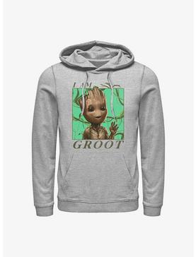 Marvel Guardians of the Galaxy Jungle Vibes Hoodie, ATH HTR, hi-res