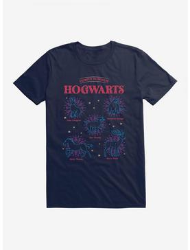 Harry Potter Hogwarts Patronus T-Shirt, MIDNIGHT NAVY, hi-res