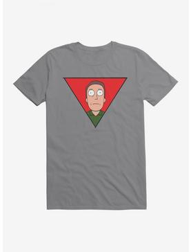 Rick And Morty Jerry Triangle T-Shirt, STORM GREY, hi-res