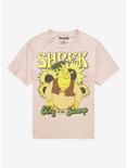 Shrek Sunflower Boyfriend Fit Girls T-Shirt, MULTI, hi-res
