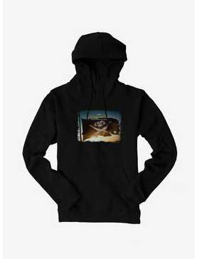 Doctor Who The Thirteenth Doctor Flag Poster Hoodie, , hi-res