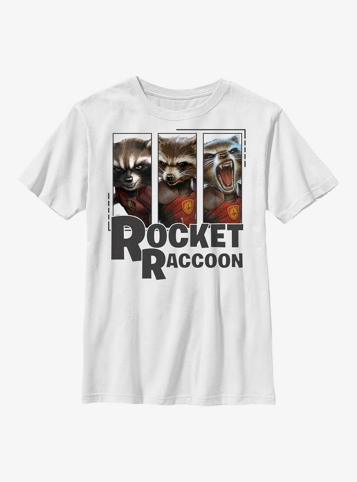 Marvel Guardians Of The Galaxy Rocket Raccoon Panels Youth T-Shirt, WHITE, hi-res