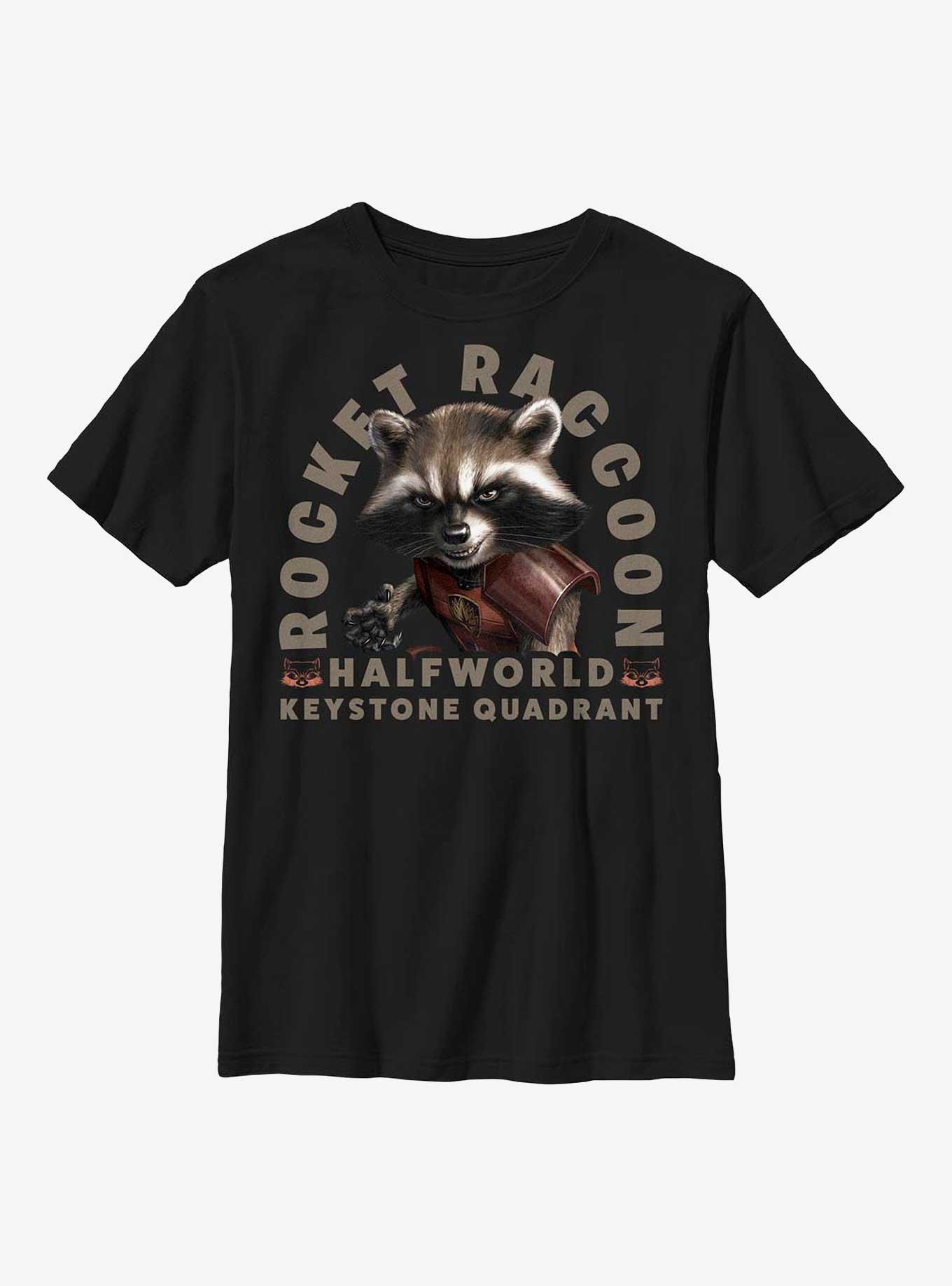 Marvel Guardians Of The Galaxy Tombstone Rocket Raccoon Youth T-Shirt, , hi-res