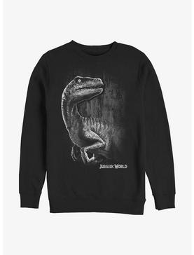 Jurassic World Raptor Smile Sweatshirt, , hi-res