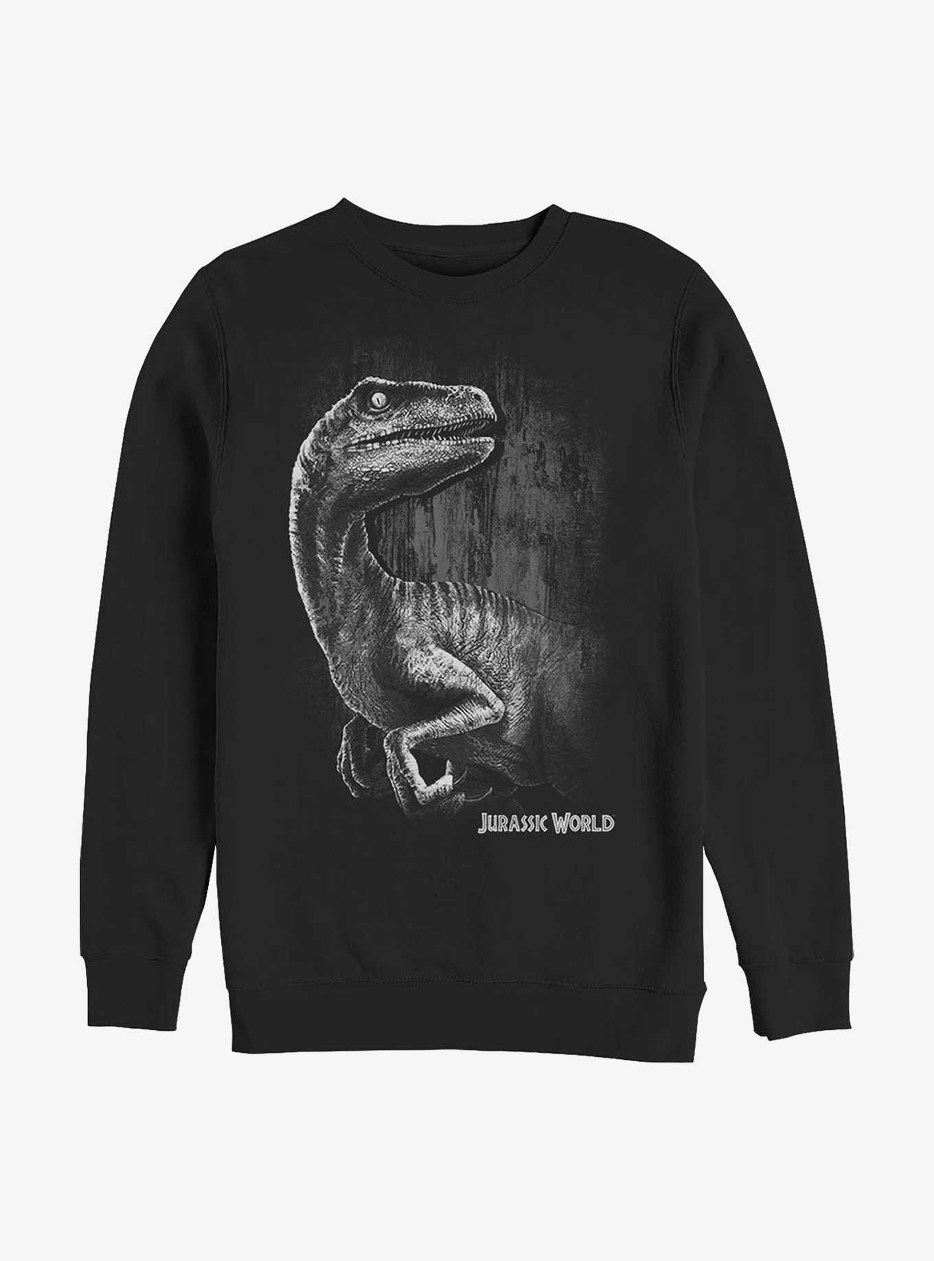 Jurassic World Raptor Smile Sweatshirt, , hi-res