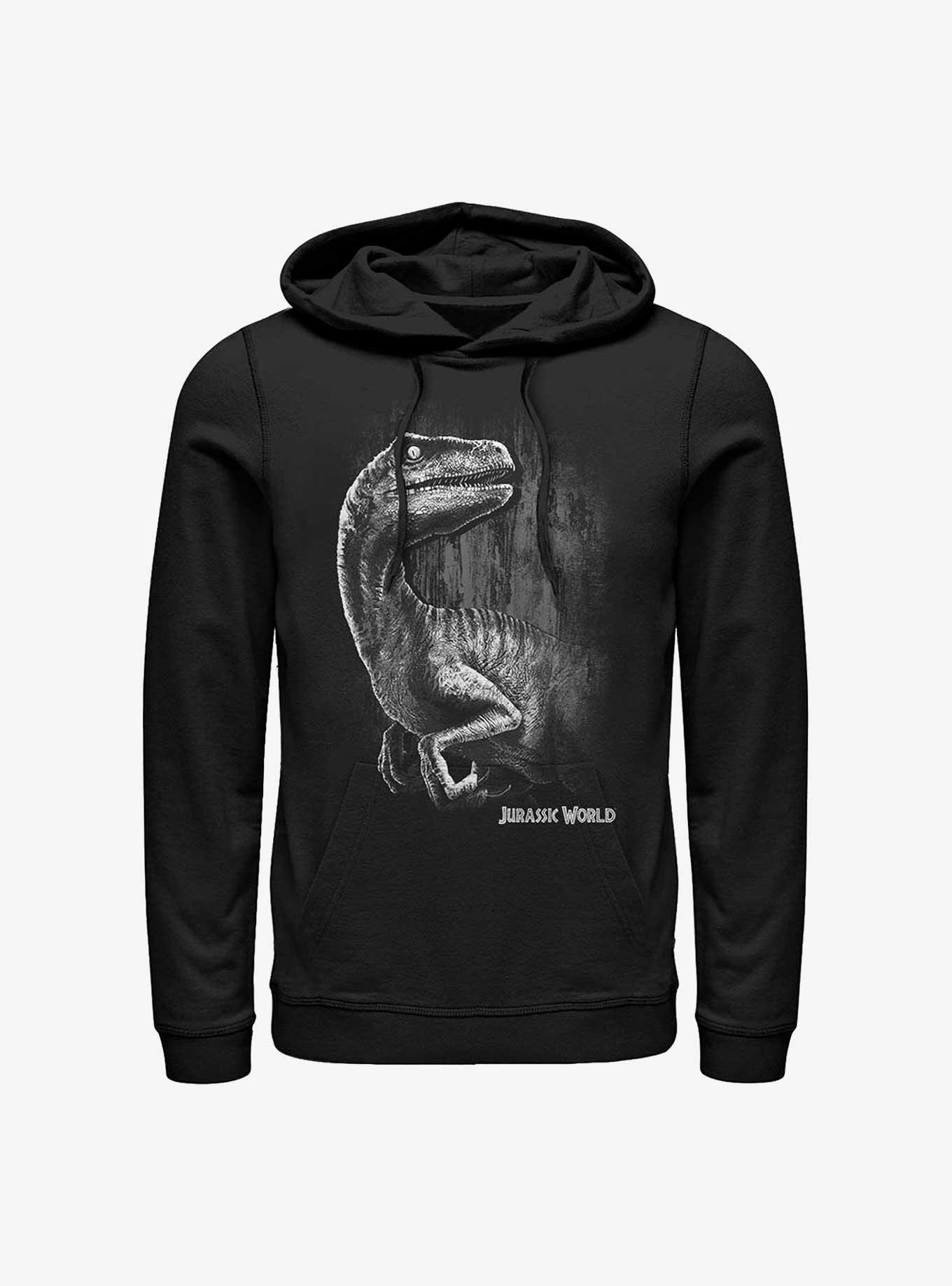 Jurassic World Raptor Smile Hoodie, BLACK, hi-res