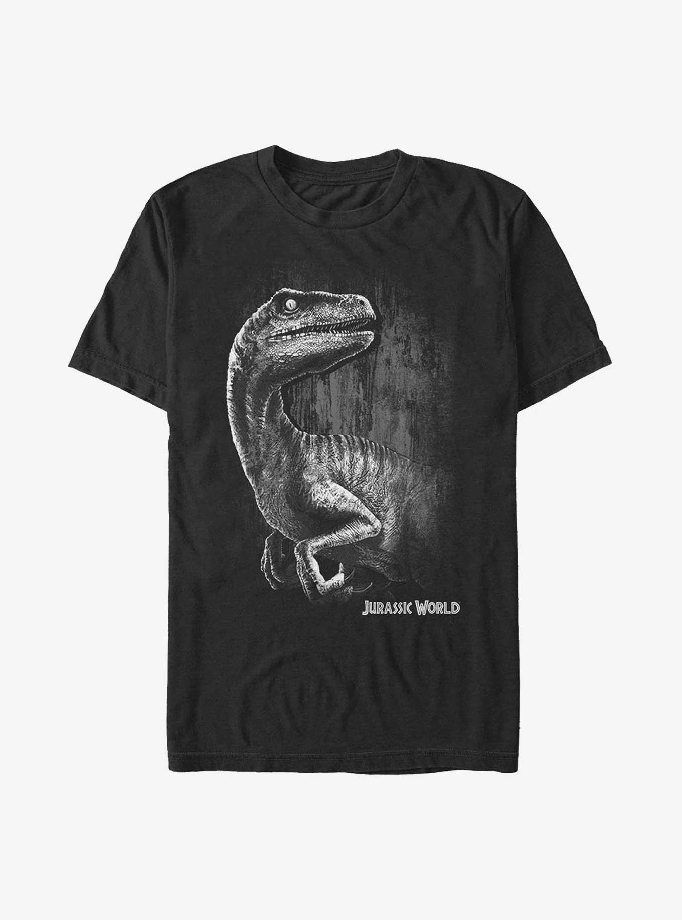 Jurassic World Raptor Smile T-Shirt, BLACK, hi-res