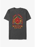 Stranger Things Fire And Dice T-Shirt, CHARCOAL, hi-res