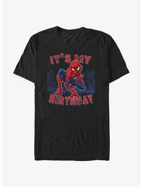 Marvel Spider-Man It's My Birthday T-Shirt, , hi-res