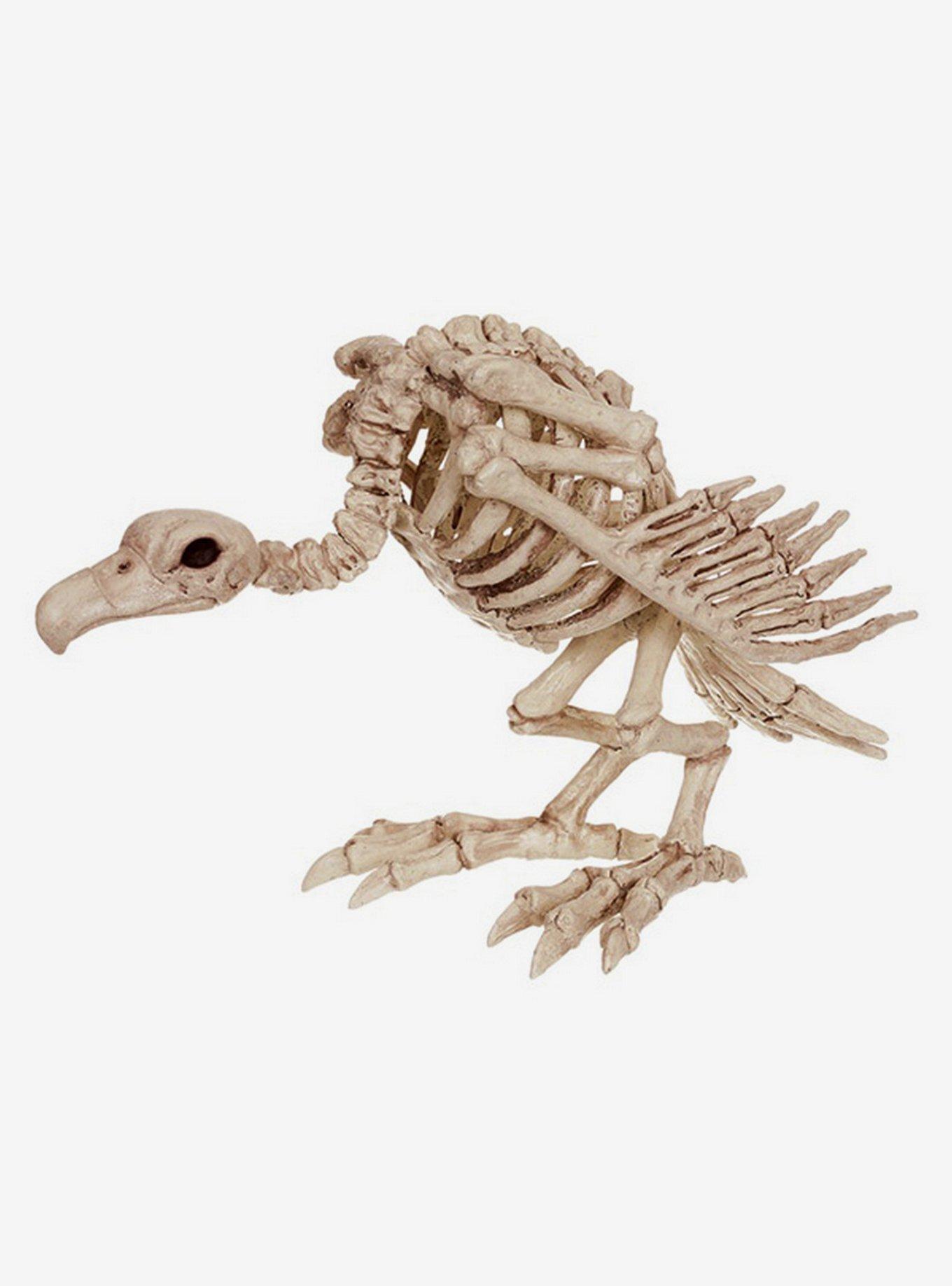 Skeleton Vulture Decor, , hi-res